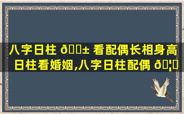 八字日柱 🐱 看配偶长相身高（日柱看婚姻,八字日柱配偶 🦈 哪里人）